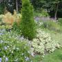 Hoveniersbedrijf De Agapanthus