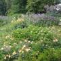 Hoveniersbedrijf De Agapanthus