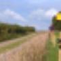 Damink tuin en landschap