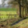 Damink tuin en landschap