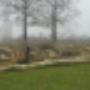 Damink tuin en landschap