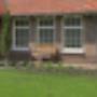 Damink tuin en landschap