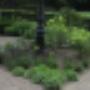 Damink tuin en landschap