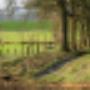 Damink tuin en landschap