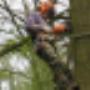 Damink tuin en landschap