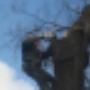 Damink tuin en landschap