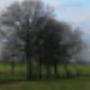 Damink tuin en landschap