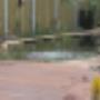 Damink tuin en landschap
