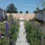 Hoveniersbedrijf Boom en Tuin - J van Dijk

Sfeerimpressie van een tuin