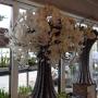 Ton's Bloemenshop