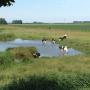 Door een bezoeker 10-08-2015 geüpload
