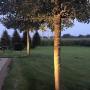 tuin verlichting