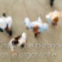 VIENOVA Coaching & Consulting