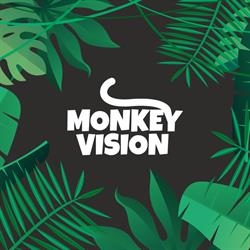 Monkey Vision