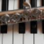 Muziekstudio Legato