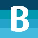 BlueBerry Media (Maglr)