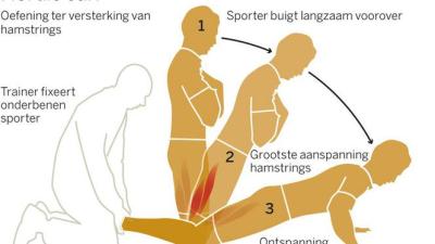 Nordic-hamstring-curl