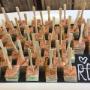 Wijnstra Catering - Locatie De Phil