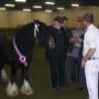 Stal Veldhoeve Manege & Trainingsstal