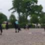 Stal Veldhoeve Manege & Trainingsstal