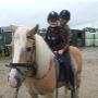 Stal Veldhoeve Manege & Trainingsstal