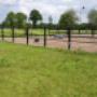 Stal Veldhoeve Manege & Trainingsstal