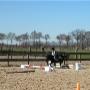 Stal Veldhoeve Manege & Trainingsstal