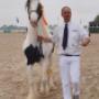 Stal Veldhoeve Manege & Trainingsstal