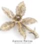 Aurora Patina vintage collection
