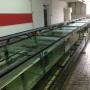 Door een bezoeker 03-11-2015 geüpload - Aquaria van Aquafizz