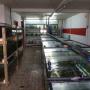 Door een bezoeker 03-11-2015 geüpload - Aquaria van Aquafizz