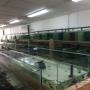 Door een bezoeker 03-11-2015 geüpload - Aquaria van Aquafizz