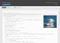 Website van Accu Service Apeldoorn 