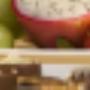 Benschop Catering en Party Experience Van