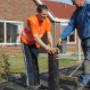 Stichting Zideris