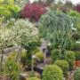Tuincentrum Harkes