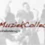 muziekles voor de Leidse regio
