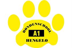 A1- Hondenschool Hengelo / Disc Runners
