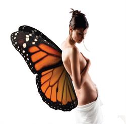 Sally Health & Beauty