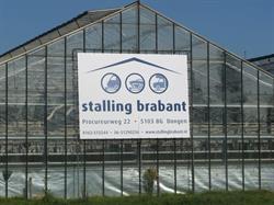 Stalling Brabant