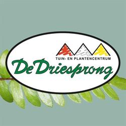 Tuincentrum De Driesprong
