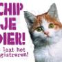 Dierenkliniek Het Liesvelt