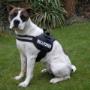 Alle Julius K-9 tuigen