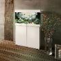 Design aquarium!