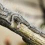 Boom & Tuin Techniek 't Harde VOF