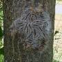 Boom & Tuin Techniek 't Harde VOF