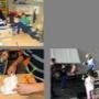 Scholengroep Veluwezoom