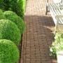 Showtuin