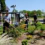 Groene Welle