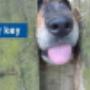 sloten service den helder